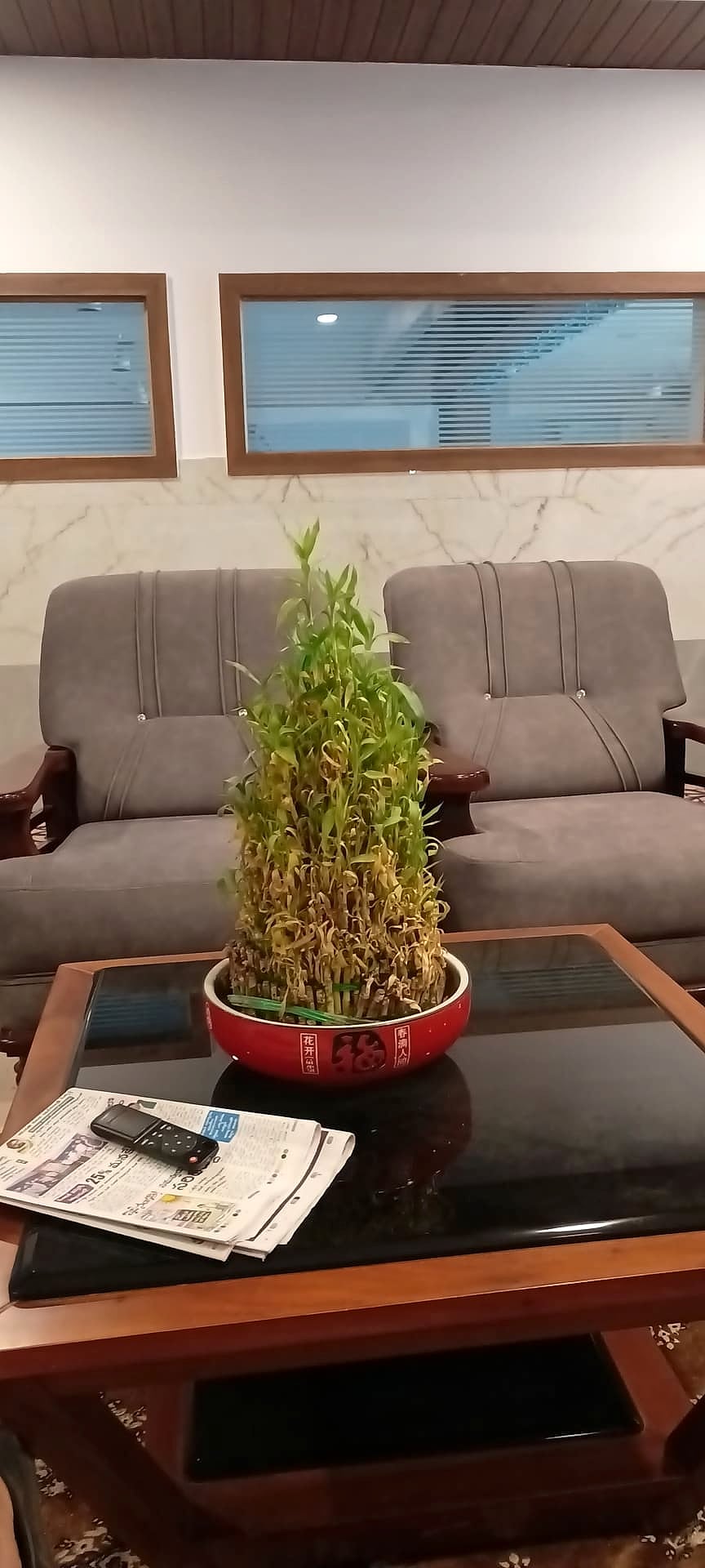 lobby seating detail with lucky bamboo plant on coffee table